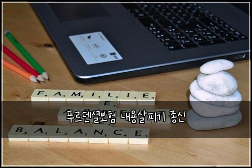 푸르덴셜보험 내용살피기  종신