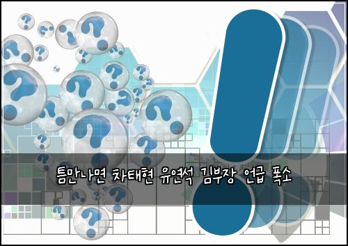 틈만나면 차태현 유연석 김부장 언급 폭소