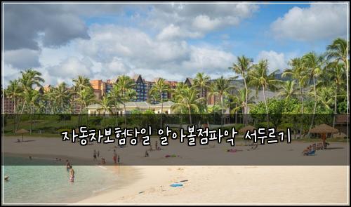 자동차보험당일 알아볼점파악 서두르기
