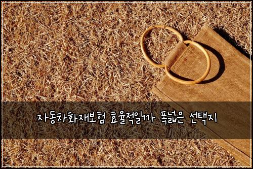 ์๋์ฐจํ์ฌ๋ณดํ ํจ์จ์ ์ผ๊น ํญ๋์ ์ ํ์ง