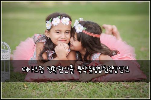 ํ์๋ณดํ ์ ํํ์ฐ์ถ ํน์ฝ์ง๋ณ์
์์ผ๋น๋ด๋ณด