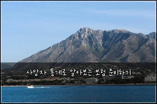 사망자 통계로 알아보는 보험 준비하기