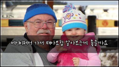 베이비페어 가서 태아보험 알아보는게 좋을까요