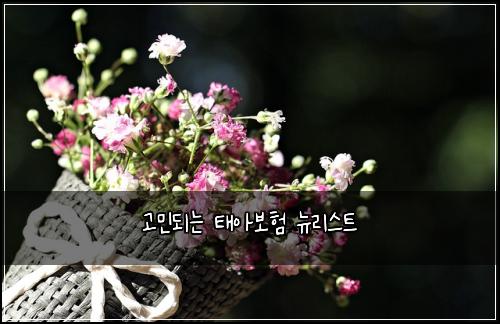 고민되는 태아보험 뉴리스트 