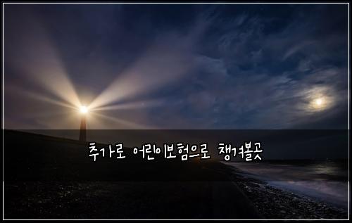 추가로 어린이보험으로 챙겨볼곳