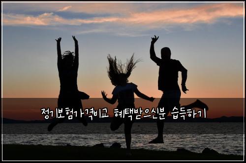 정기보험가격비교 혜택받으신분 습득하기