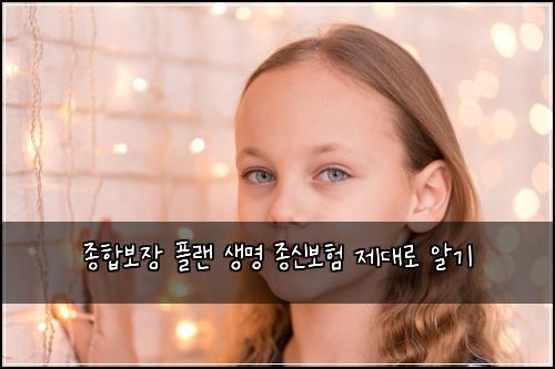 종합보장 플랜 생명 종신보험 제대로 알기