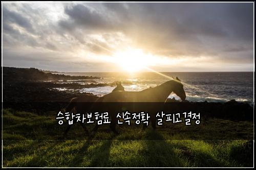 ์นํฉ์ฐจ๋ณดํ๋ฃ ์ ์์ ํ ์ดํผ๊ณ ๊ฒฐ์ 