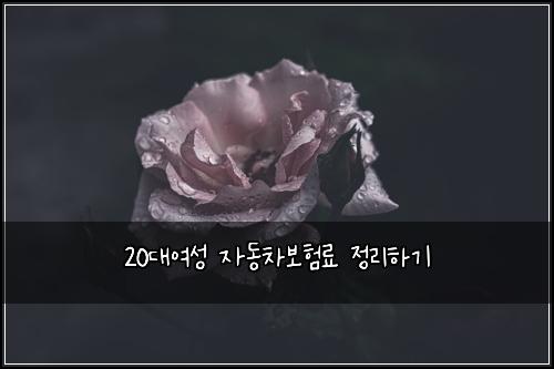 20대여성 자동차보험료 정리하기
