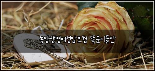 동양생명여성암보험 똑순이들만 