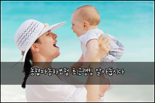 λνμλ차보ν μ΅κ·ΌλνΉ μμλ‘μλ€