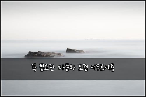 꼭 필요한 자동차 보험 서두르세용 