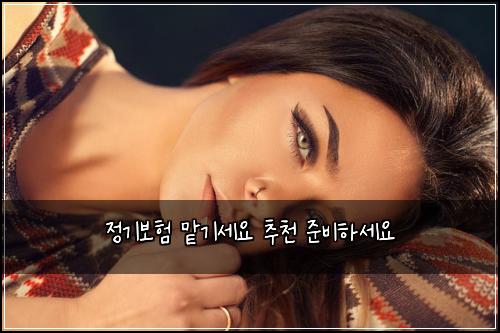 정기보험 맡기세요  추천 준비하세요