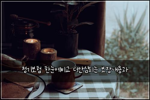 정기보험 한눈에비교  더안심되는 보장내용과