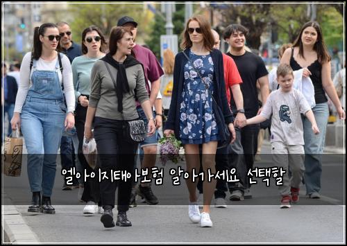 엘아이지태아보험 알아가세요  선택할