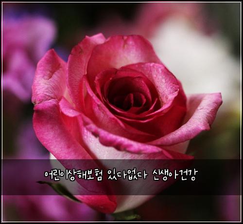 어린이상해보험 있다없다  신생아건강
