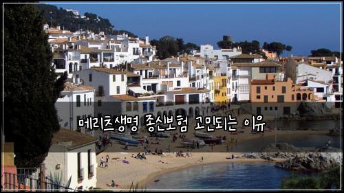 메리츠생명 종신보험 고민되는 이유