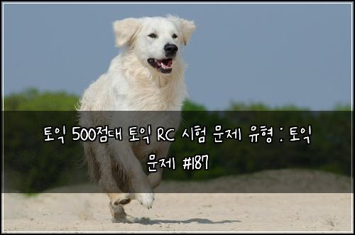 토익 500점대 토익 RC 시험 문제 유형 : 토익 문제 #187