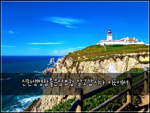 신한생명참좋은암보험 알고갑시다  이곳에서