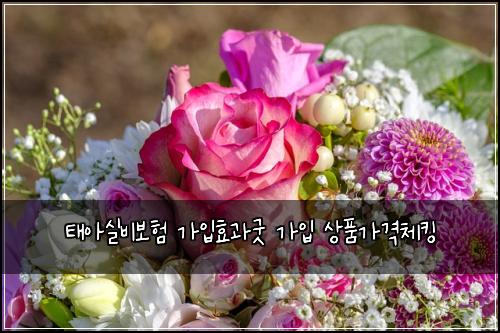 ํ์์ค๋น๋ณดํ ๊ฐ์
ํจ๊ณผ๊ตฟ ๊ฐ์
์ํ๊ฐ๊ฒฉ์ฒดํน