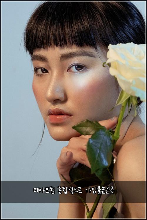 태아보험 종합적으로  가입률높은곳