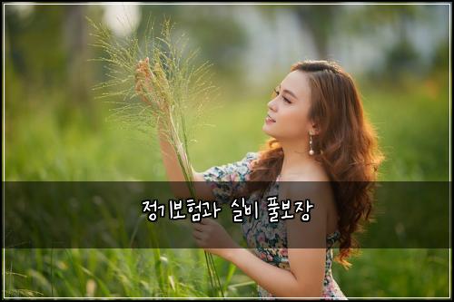 정기보험과 실비 풀보장