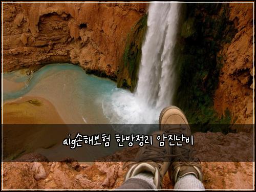 aig손해보험 한방정리  암진단비