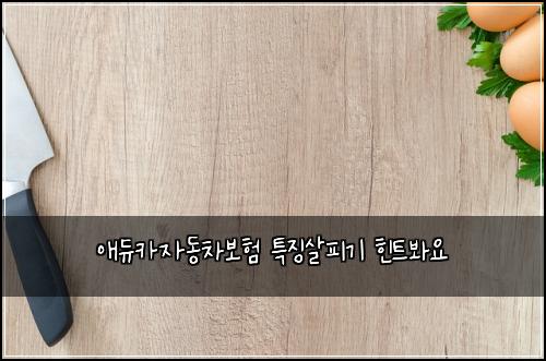 애듀카자동차보험 특징살피기  힌트봐요