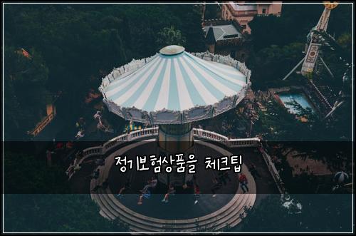 정기보험상품을 체크팁