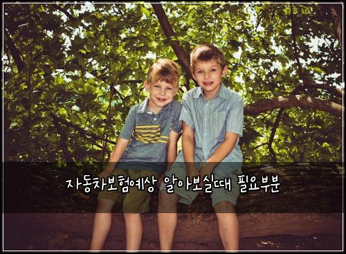 자동차보험예상 알아보실때 필요부분