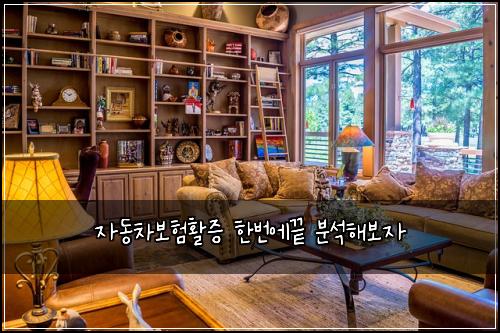 자동차보험활증 한번에끝 분석해보자
