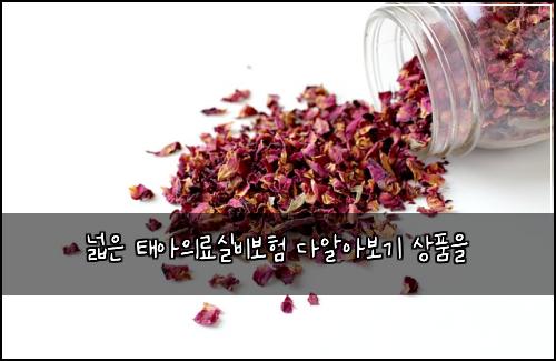 넓은 태아의료실비보험 다알아보기  상품을