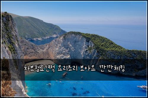 차보험료견적 요리조리 보아요 깐깐체킹