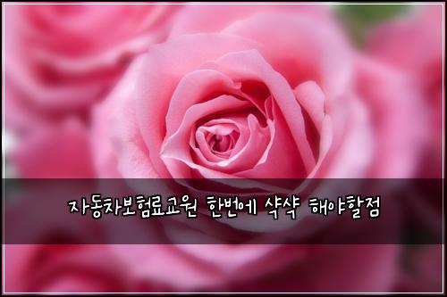 ์๋์ฐจ๋ณดํ๋ฃ๊ต์ ํ๋ฒ์ ์ฅ์ฅ ํด์ผํ ์ 