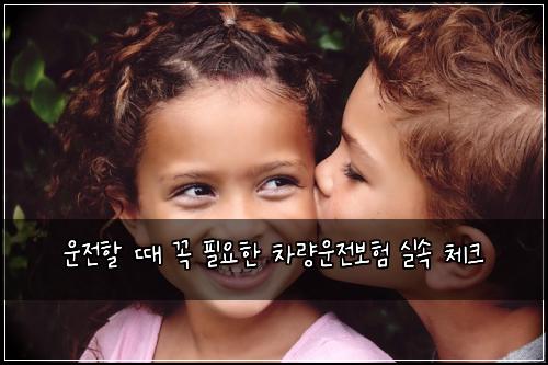 운전할 때 꼭 필요한 차량운전보험 실속 체크