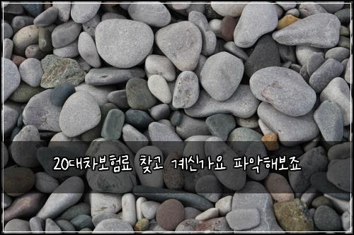 20대차보험료 찾고 계신가요 파악해보죠