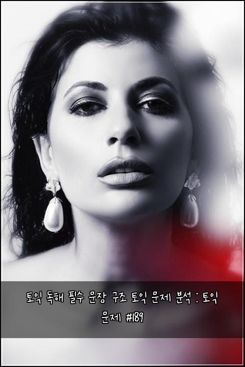 토익 독해 필수 문장 구조 토익 문제 분석 : 토익 문제 #189