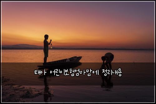 태아 어린이보험엄마맘에 정리내용