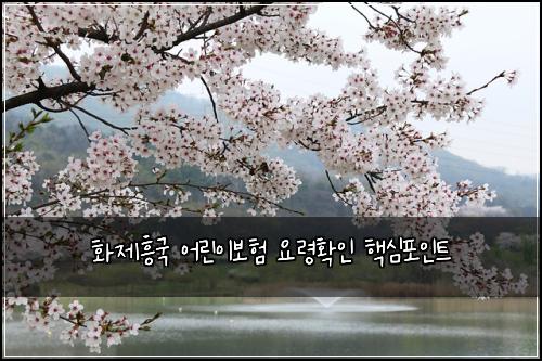 화제흥국 어린이보험 요령확인  핵심포인트
