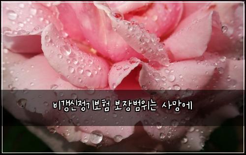 ๋น๊ฐฑ์ ์ ๊ธฐ๋ณดํ ๋ณด์ฅ๋ฒ์๋ ์ฌ๋ง์