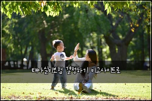ํ์์ค๋น๋ณดํ ๊ฒฐ์ ํ๊ธฐ ๋น๊ต์ฌ์ดํธ๋ก