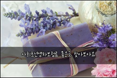 ์ฌํ์ด๋
์์ฐจ๋ณดํ๋ฃ ์ข์๊ณณ ์ฐพ์๋ณด์์