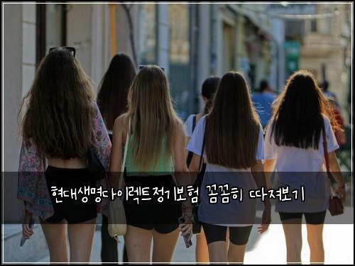 현대생명다이렉트정기보험 꼼꼼히 따져보기