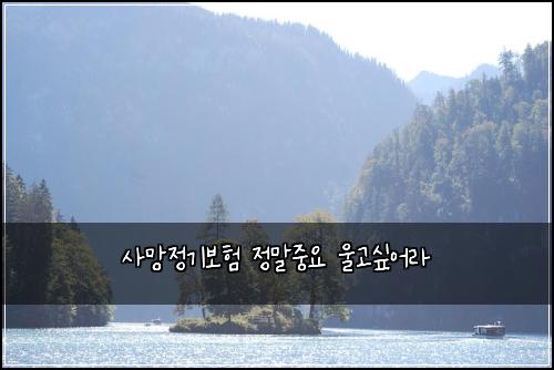 사망정기보험 정말중요  울고싶어라