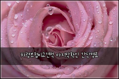 차량보험비교견적 마지막확인 간단명료
