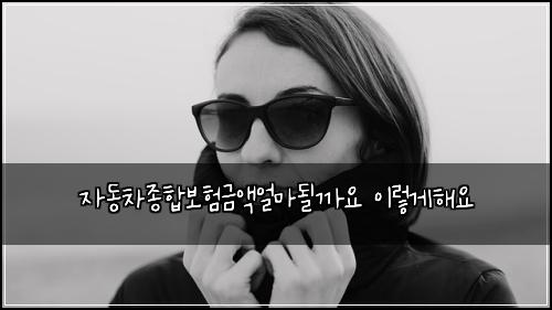 자동차종합보험금액얼마될까요 이렇게해요