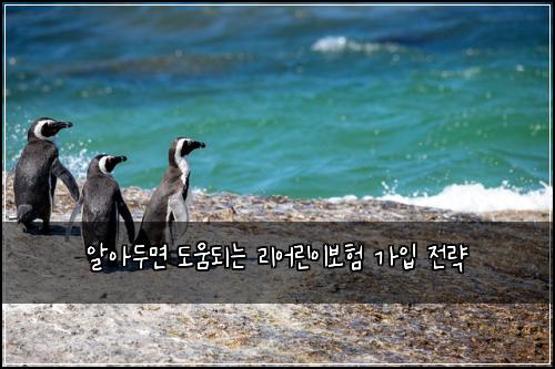 알아두면 도움되는 리어린이보험 가입 전략