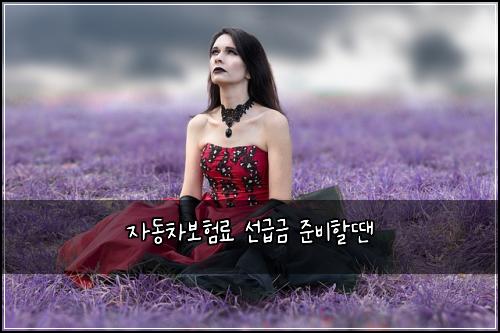 자동차보험료 선급금 준비할땐