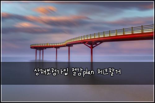 상해보험가입 절감plan 체크할거