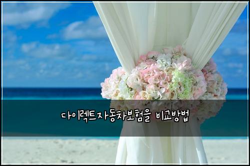 다이렉트자동차보험을 비교방법